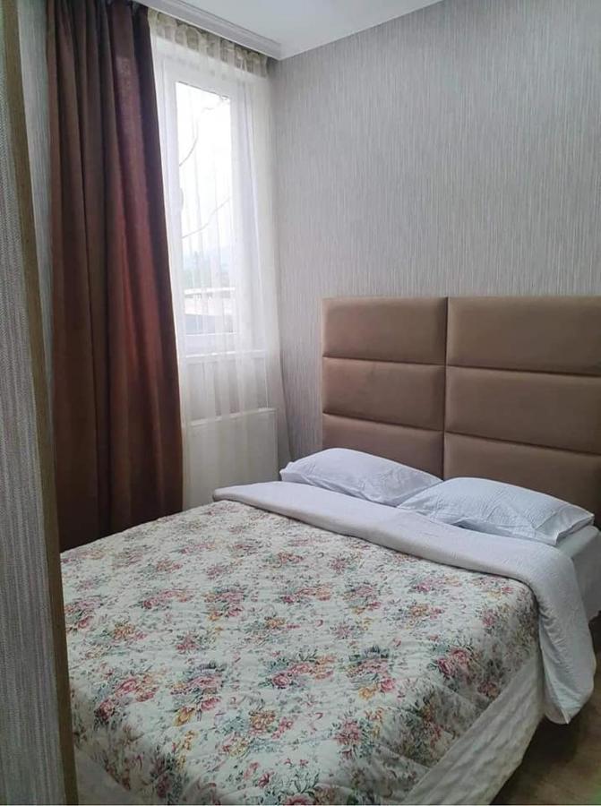 Nari Apartment Bordjomi Extérieur photo
